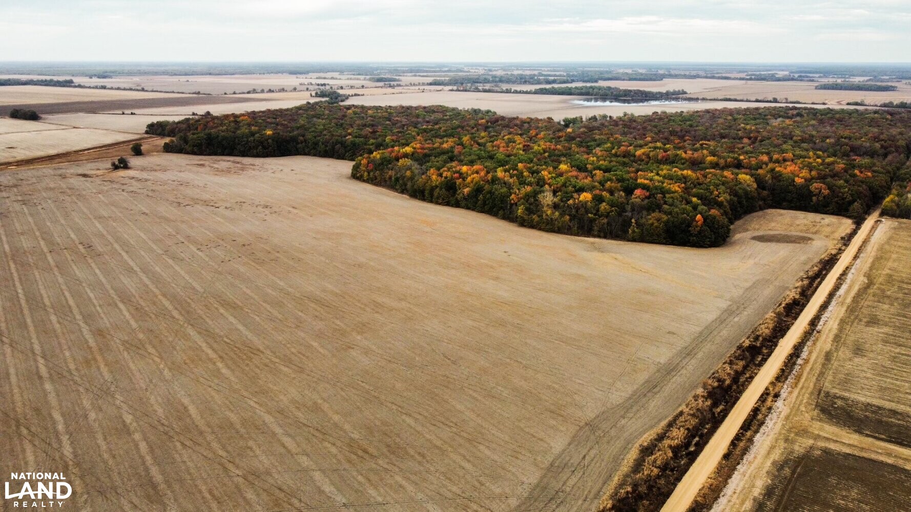 Wright 160 Farm in Quitman County, Mississippi (16 Photos) National