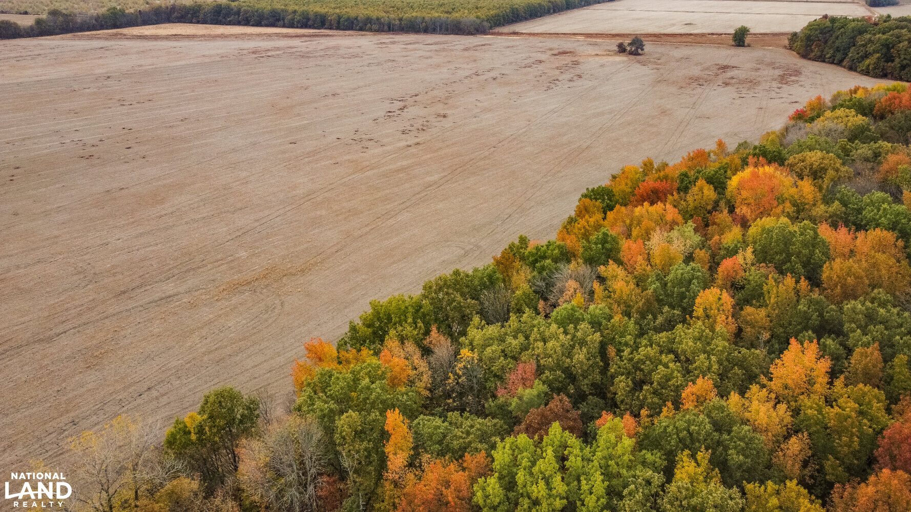 Wright 160 Farm in Quitman County, Mississippi (16 Photos) National