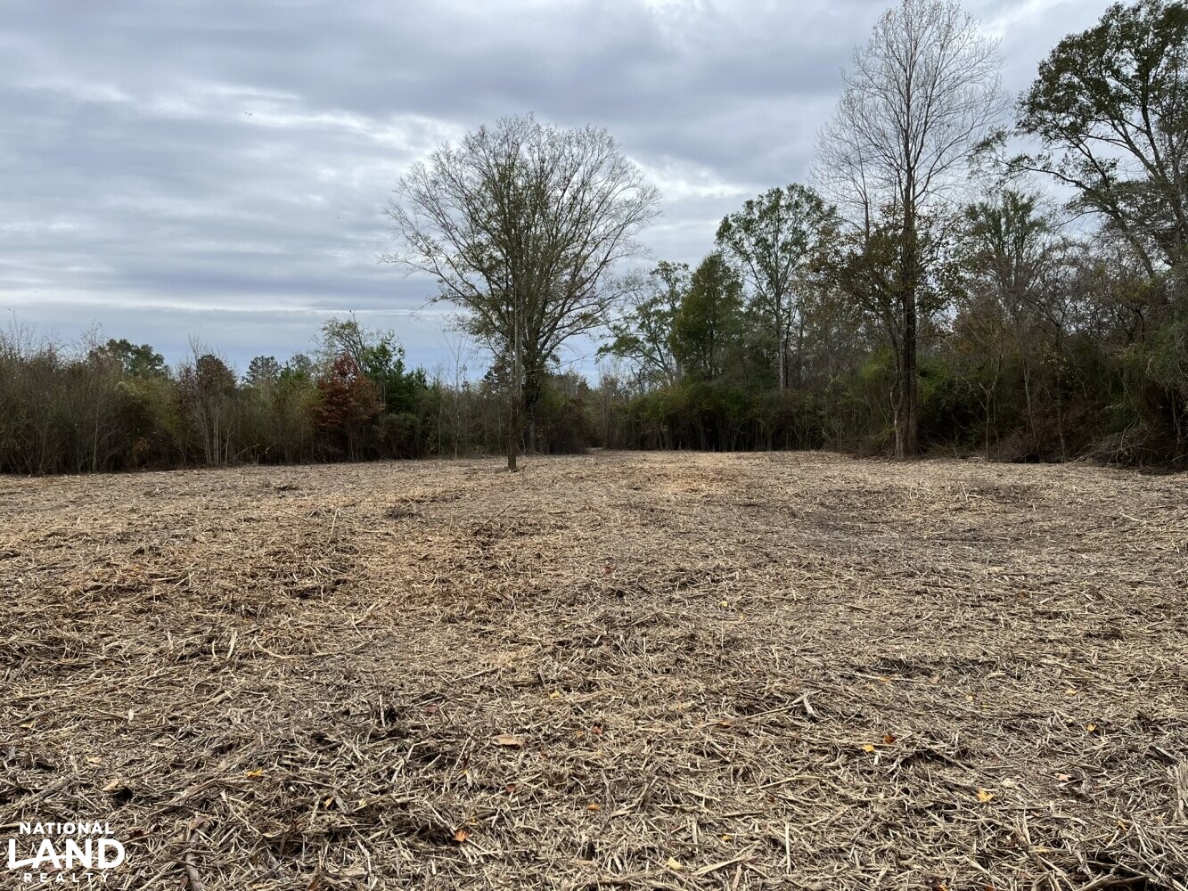 Hardwood Timber Hunting Investment Property in Newton County