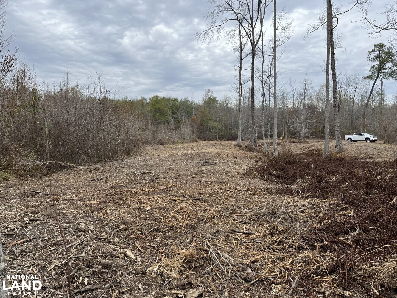 Hardwood Timber Hunting Investment Property in Newton County