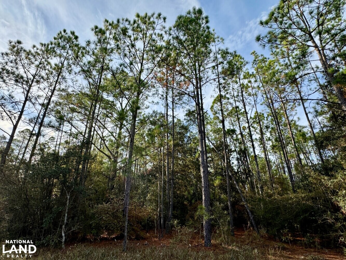 Elsanor Hunting & Timber Retreat South in Baldwin County, Alabama (9