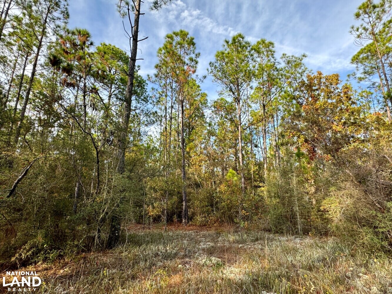 Elsanor Hunting & Timber Retreat South in Baldwin County, Alabama (9
