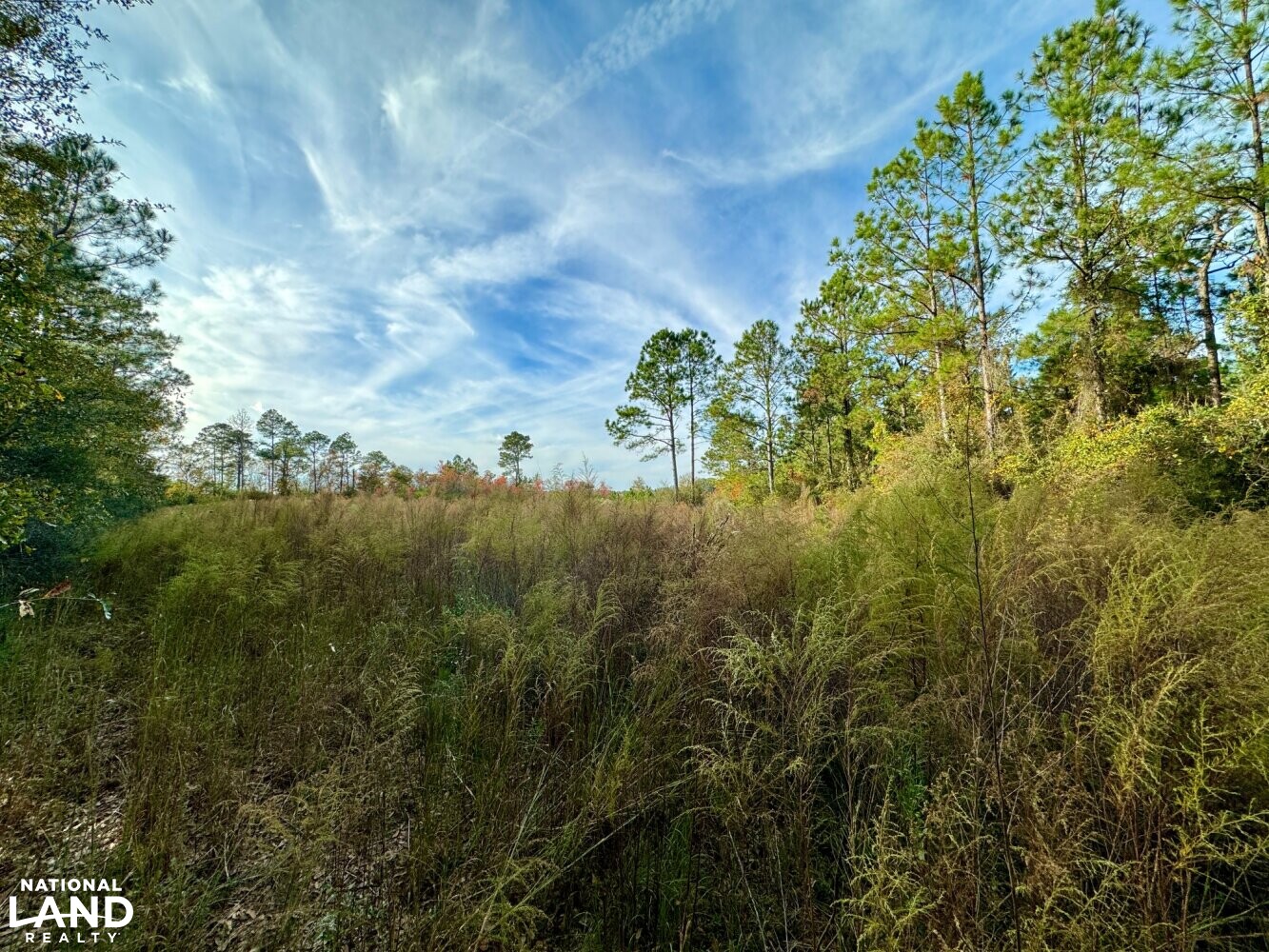 Elsanor Hunting & Timber Retreat South in Baldwin County, Alabama (9