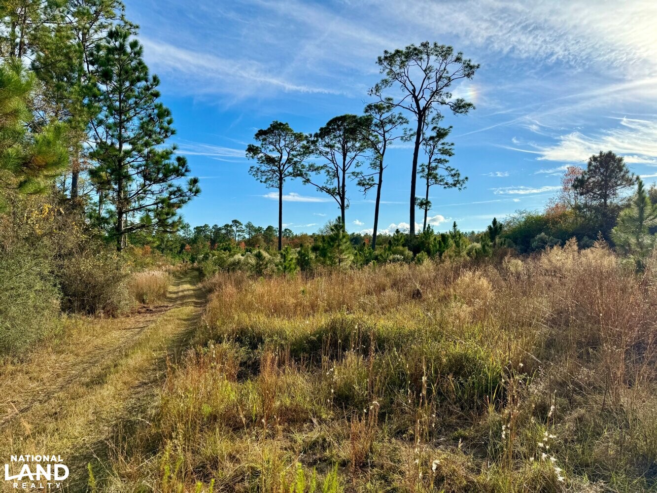 Elsanor Hunting & Timber Retreat South in Baldwin County, Alabama (9
