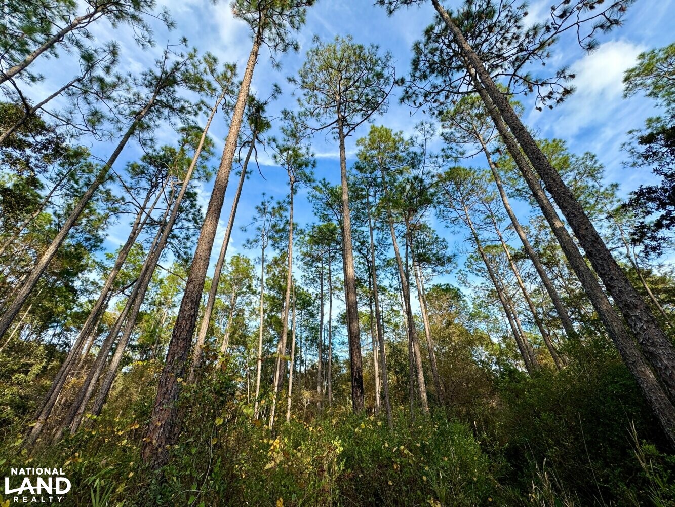 Elsanor Hunting & Timber Retreat South in Baldwin County, Alabama (9
