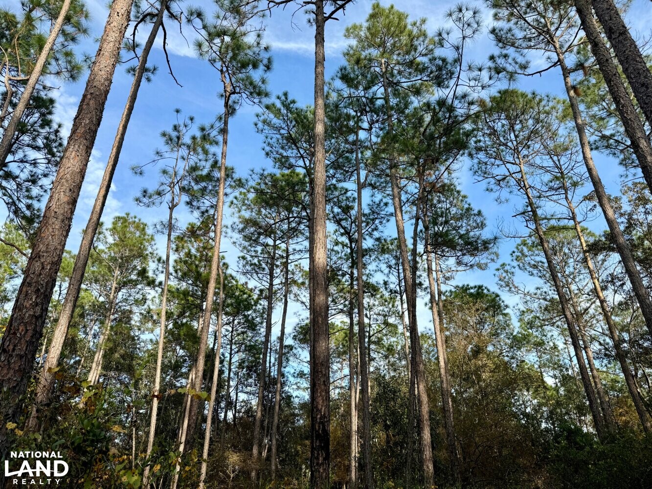 Elsanor Hunting & Timber Retreat South in Baldwin County, Alabama (9