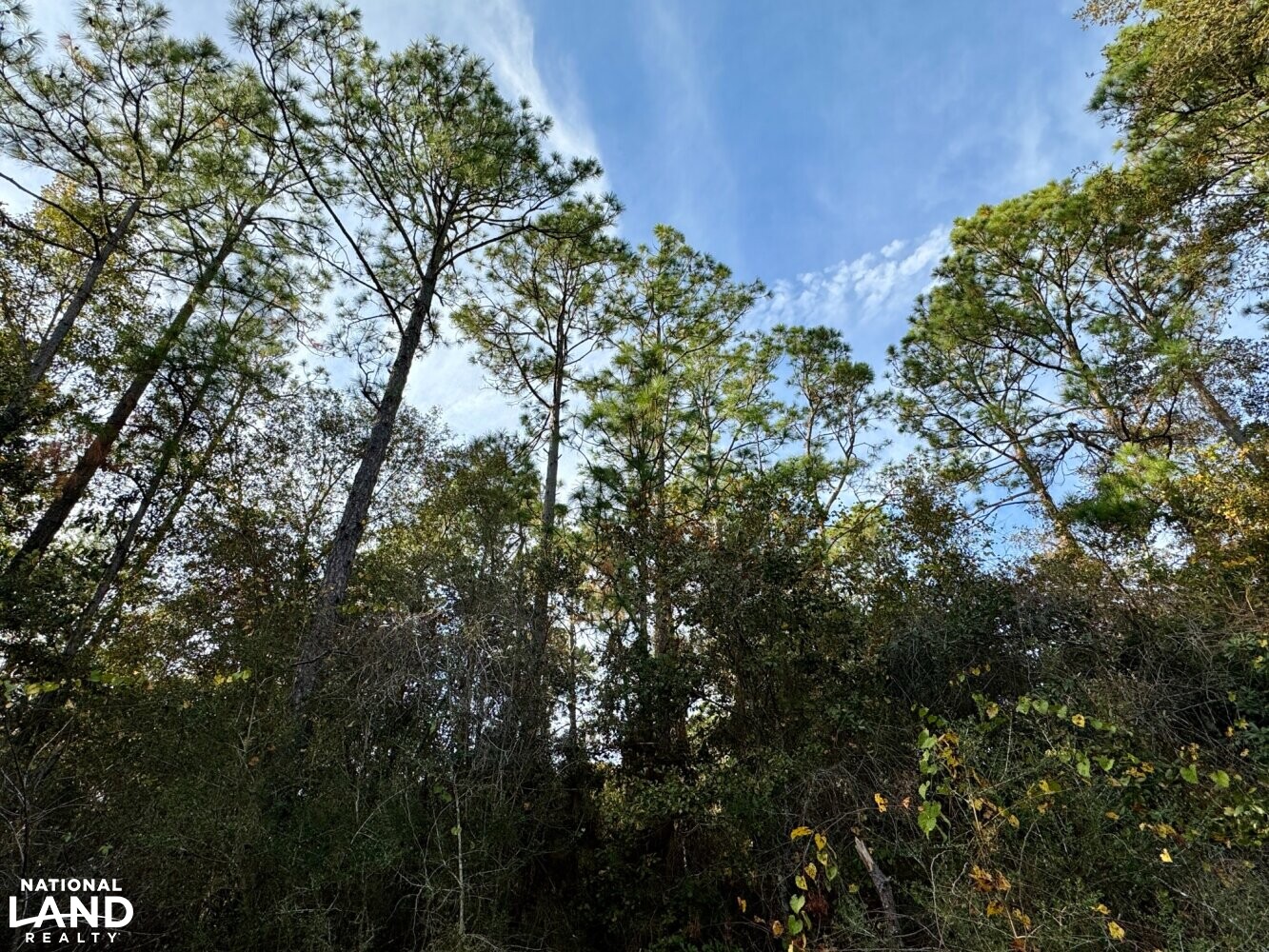 Elsanor Hunting & Timber Retreat South in Baldwin County, Alabama (9