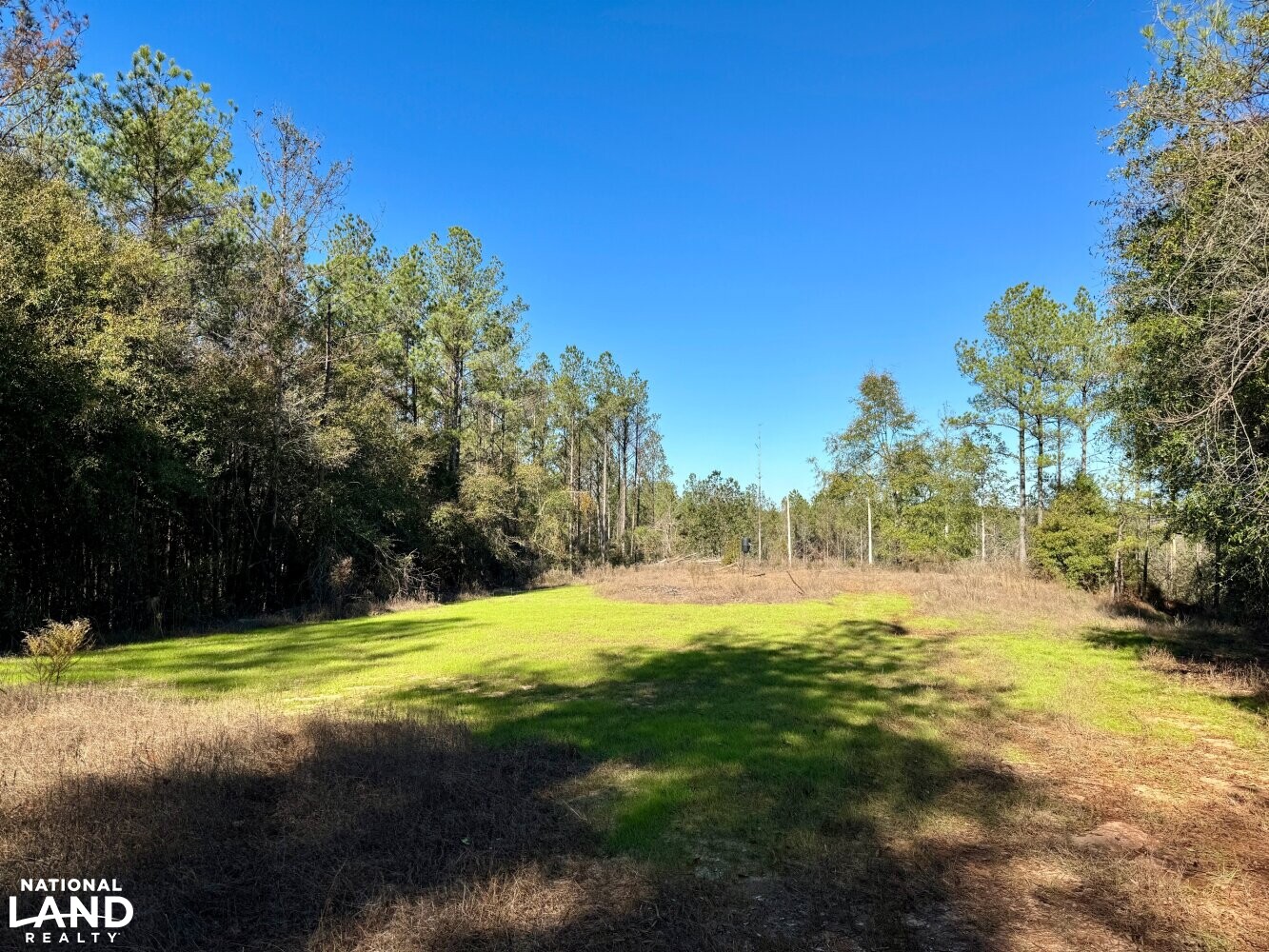 Peterman Hunting & Timber Retreat in Monroe County, Alabama (21 Photos