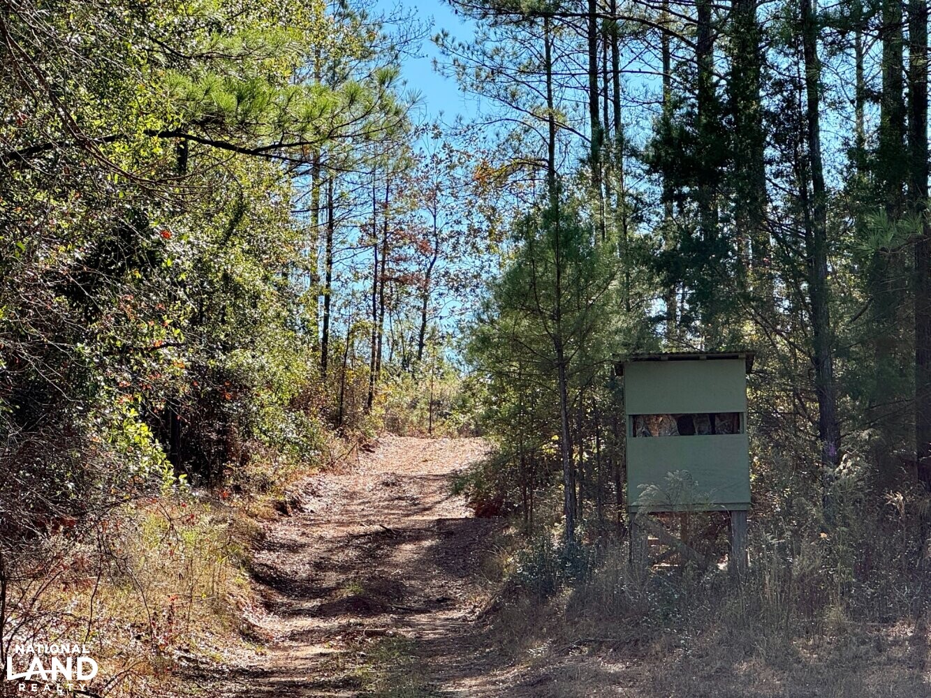 Peterman Hunting & Timber Retreat in Monroe County, Alabama (21 Photos