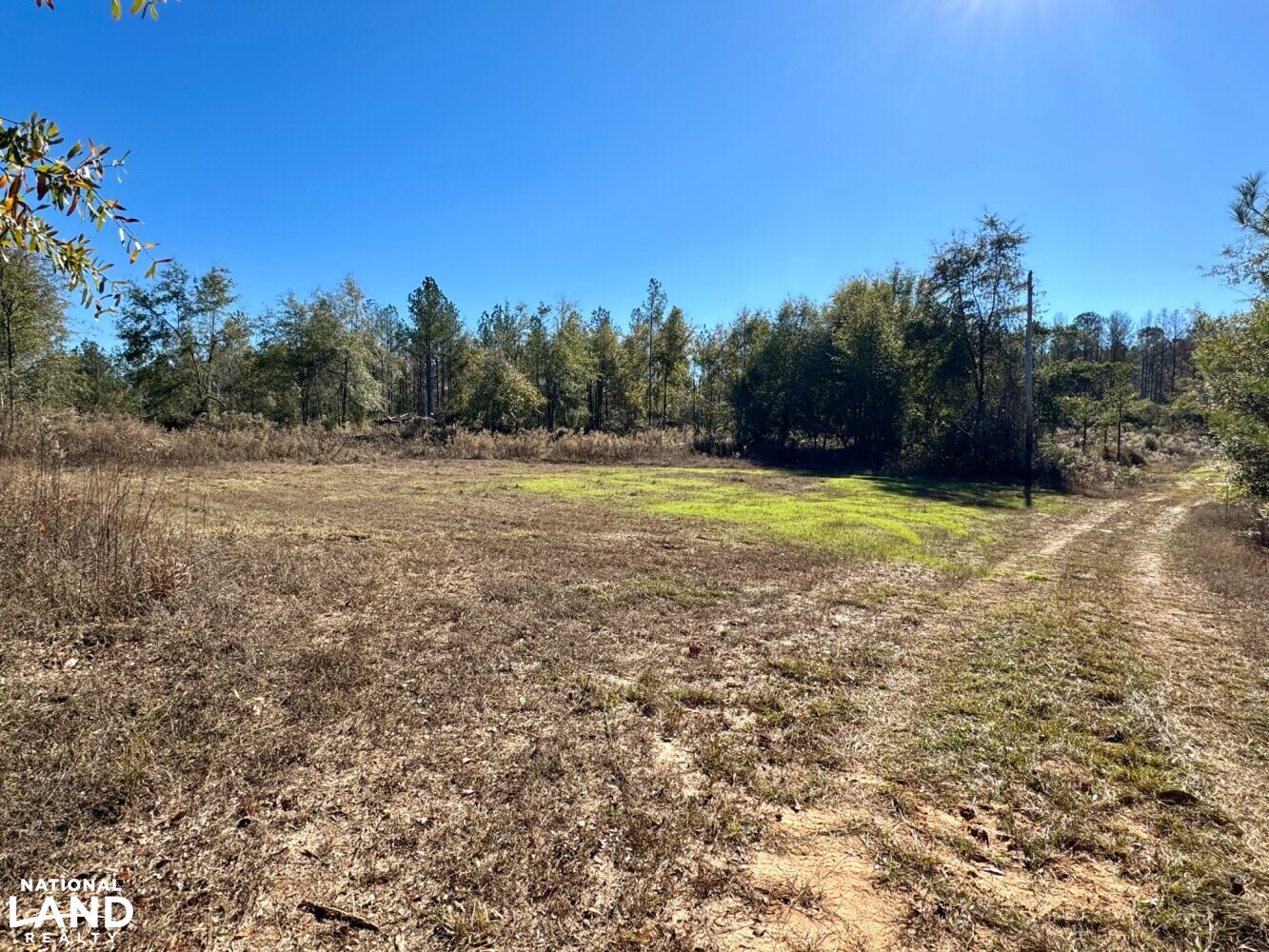 Peterman Hunting & Timber Retreat in Monroe County, Alabama (21 Photos) National Land Realty