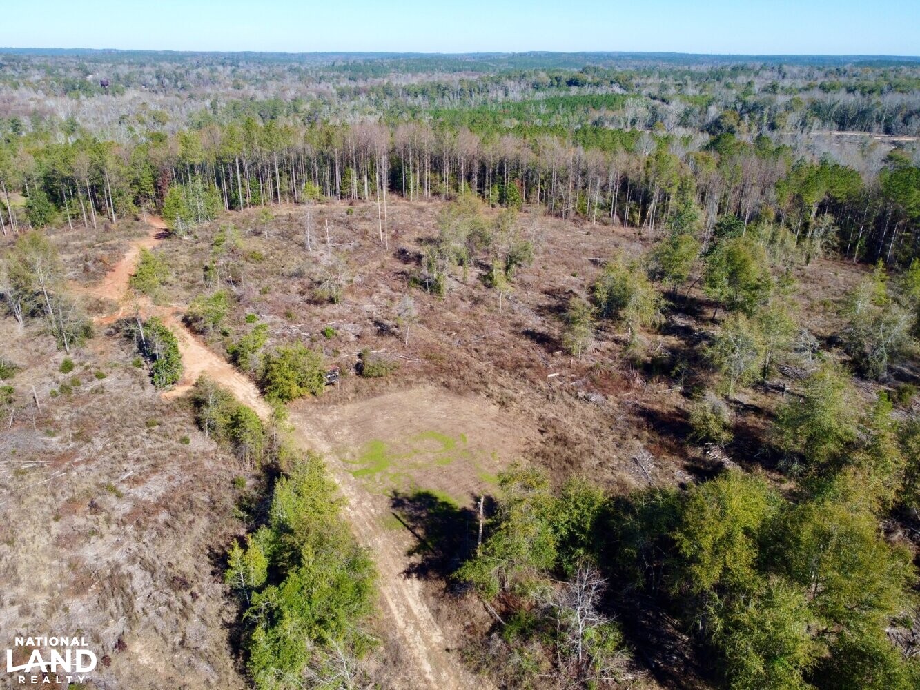 Peterman Hunting & Timber Retreat in Monroe County, Alabama (21 Photos