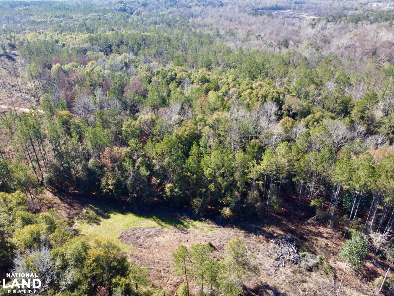Peterman Hunting & Timber Retreat in Monroe County, Alabama (21 Photos) National Land Realty