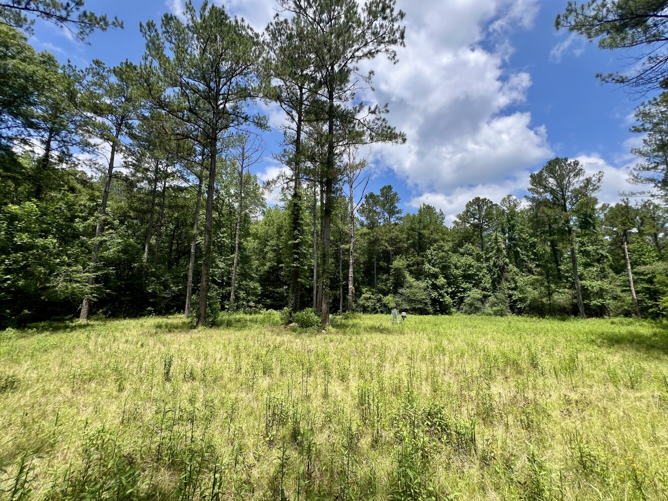 Photo 1 of 31 of land for sale at 0 County Road 42, Tunnel Springs, AL 36471