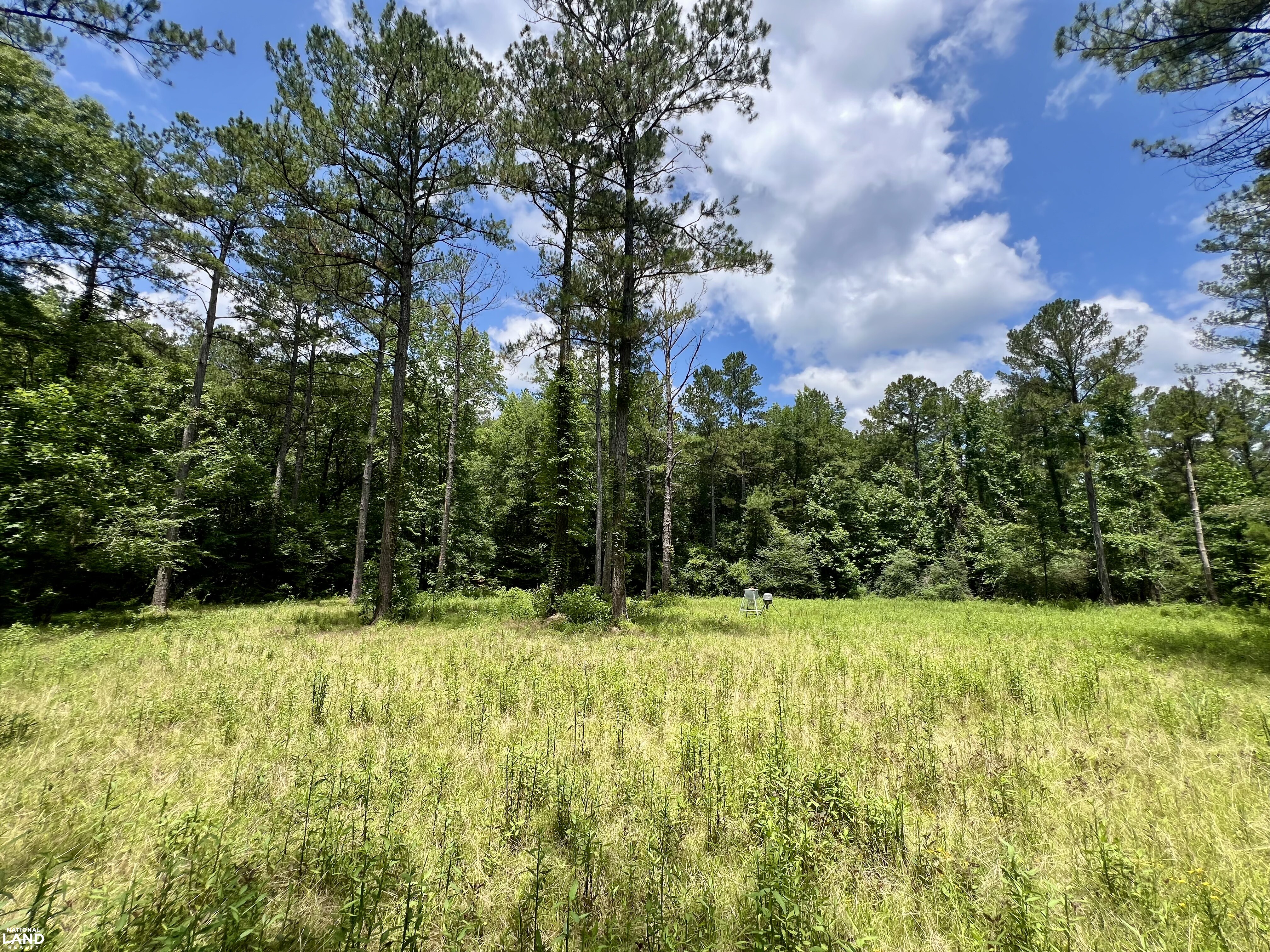 Tunnel Springs Hunting & Timber Retreat in Monroe County, AL (1 of 31)