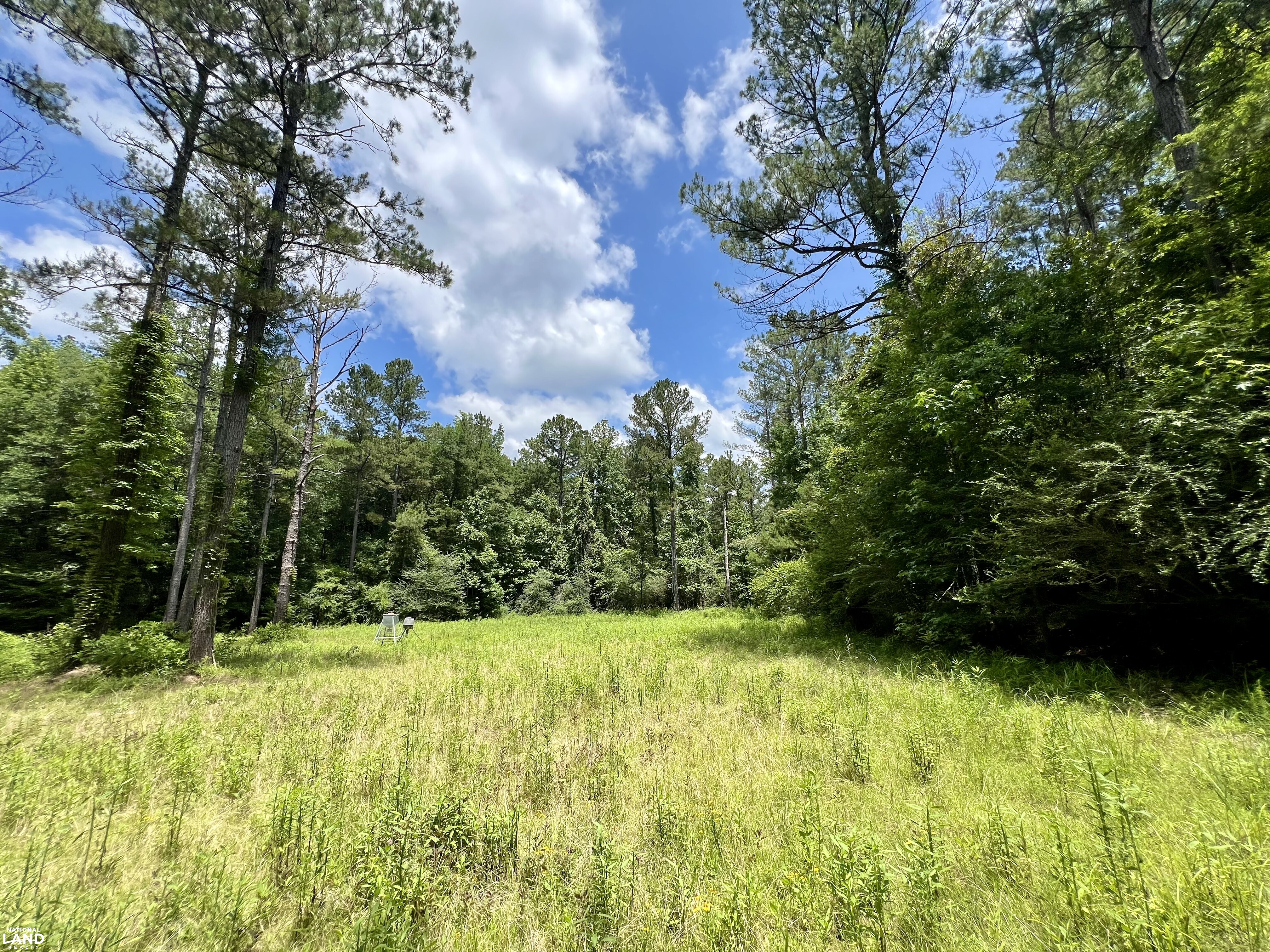Tunnel Springs Hunting & Timber Retreat in Monroe County, AL (16 of 31)
