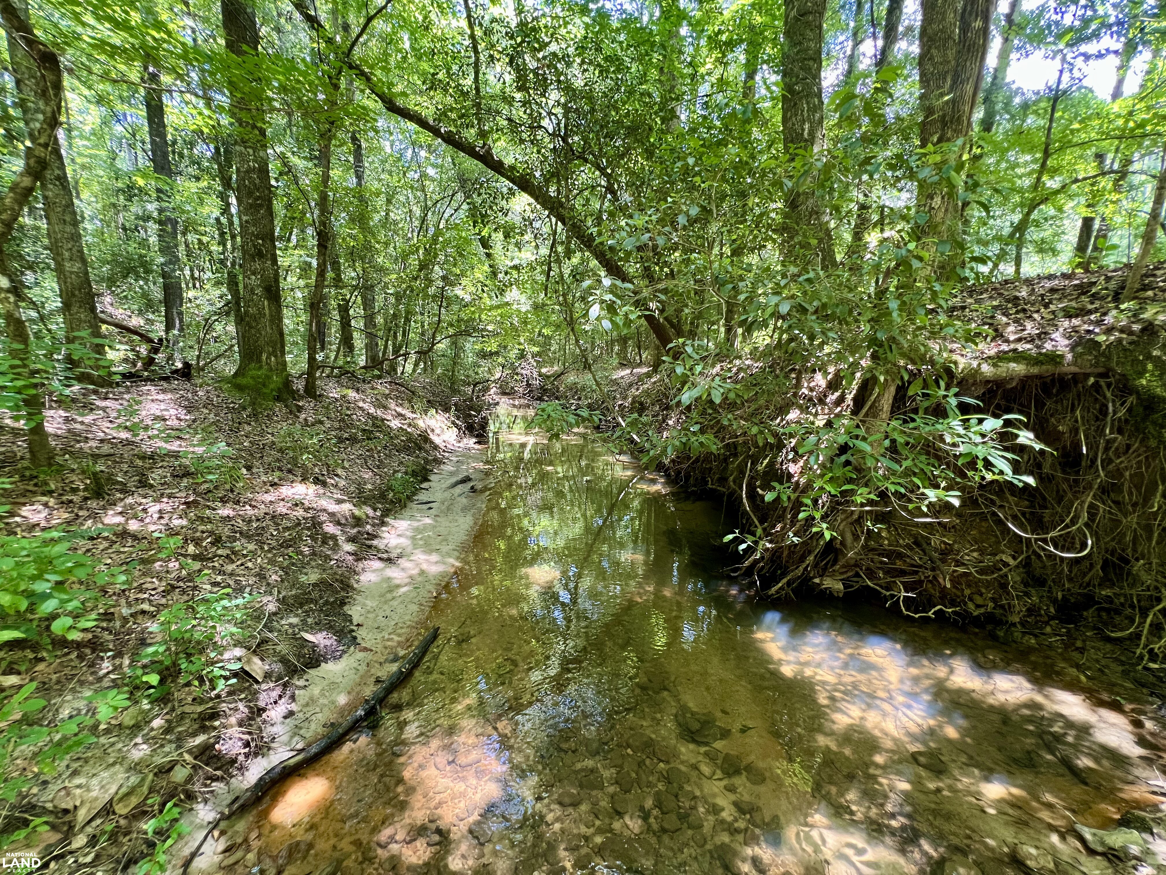 Tunnel Springs Hunting & Timber Retreat in Monroe County, AL (2 of 31)