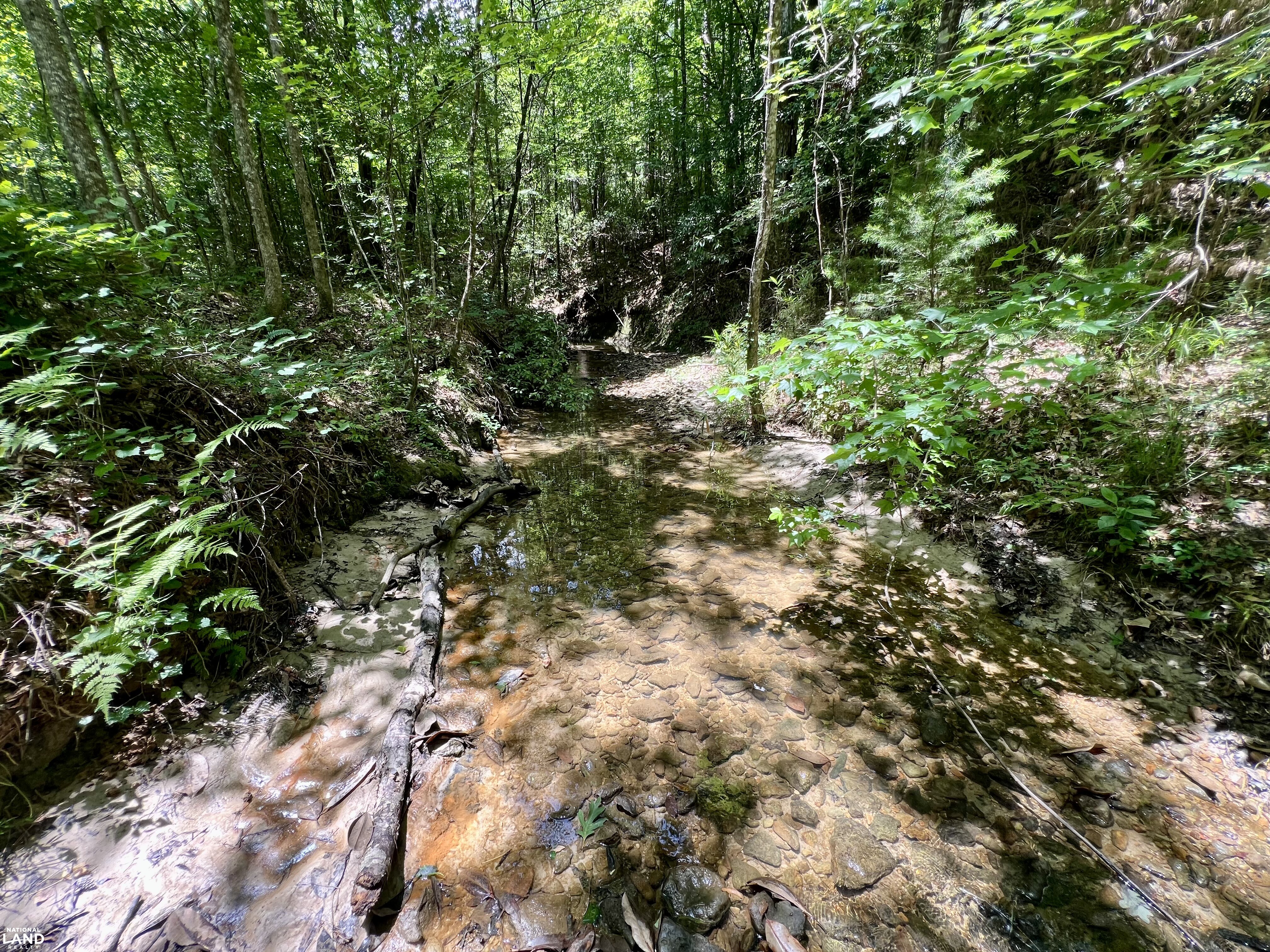 Tunnel Springs Hunting & Timber Retreat in Monroe County, AL (10 of 31)