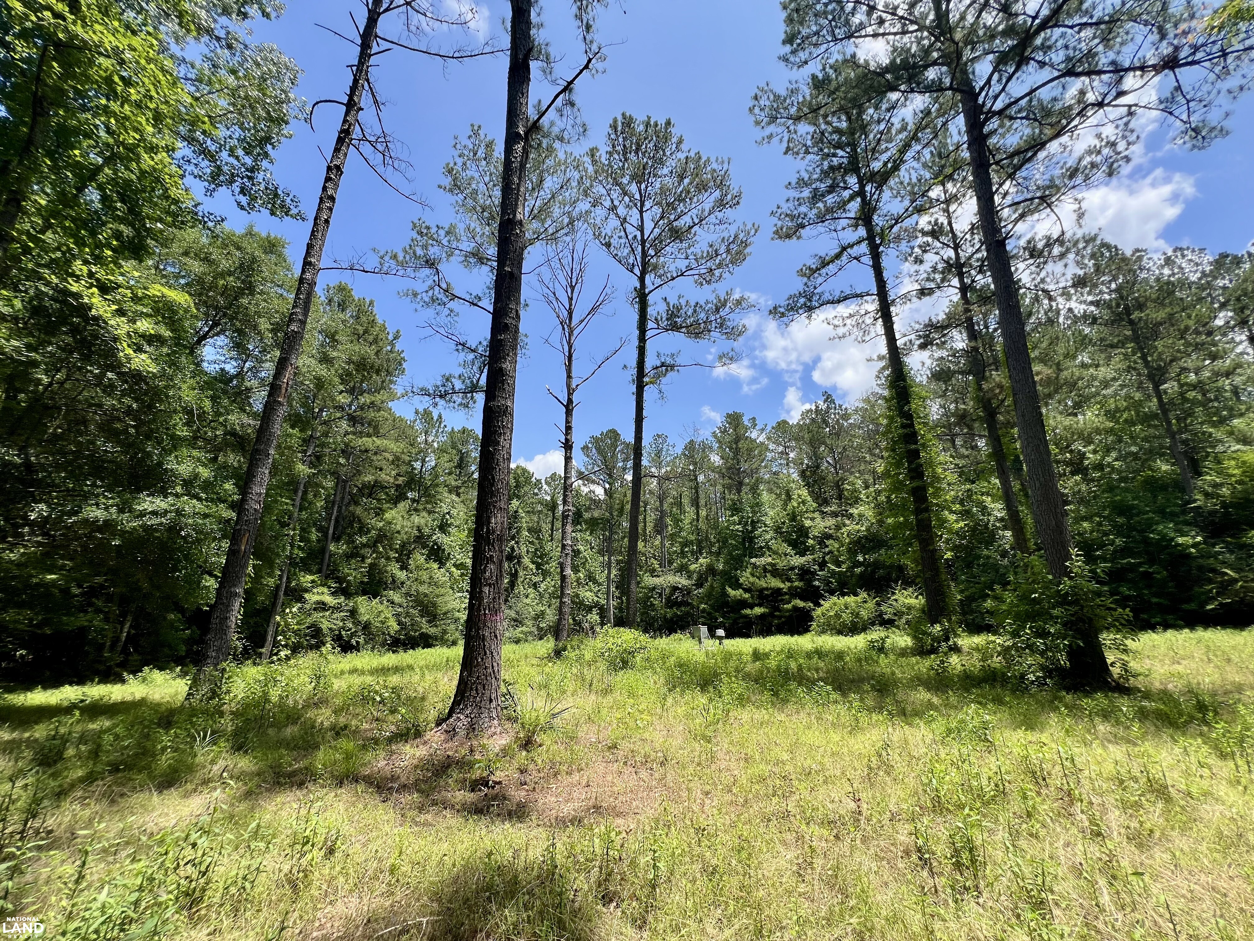 Tunnel Springs Hunting & Timber Retreat in Monroe County, AL (17 of 31)