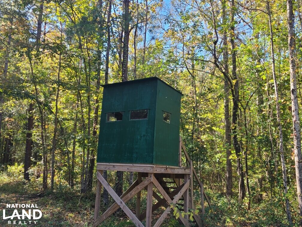 Investment & Hunting Land Only in Hale County, Alabama (27 Photos