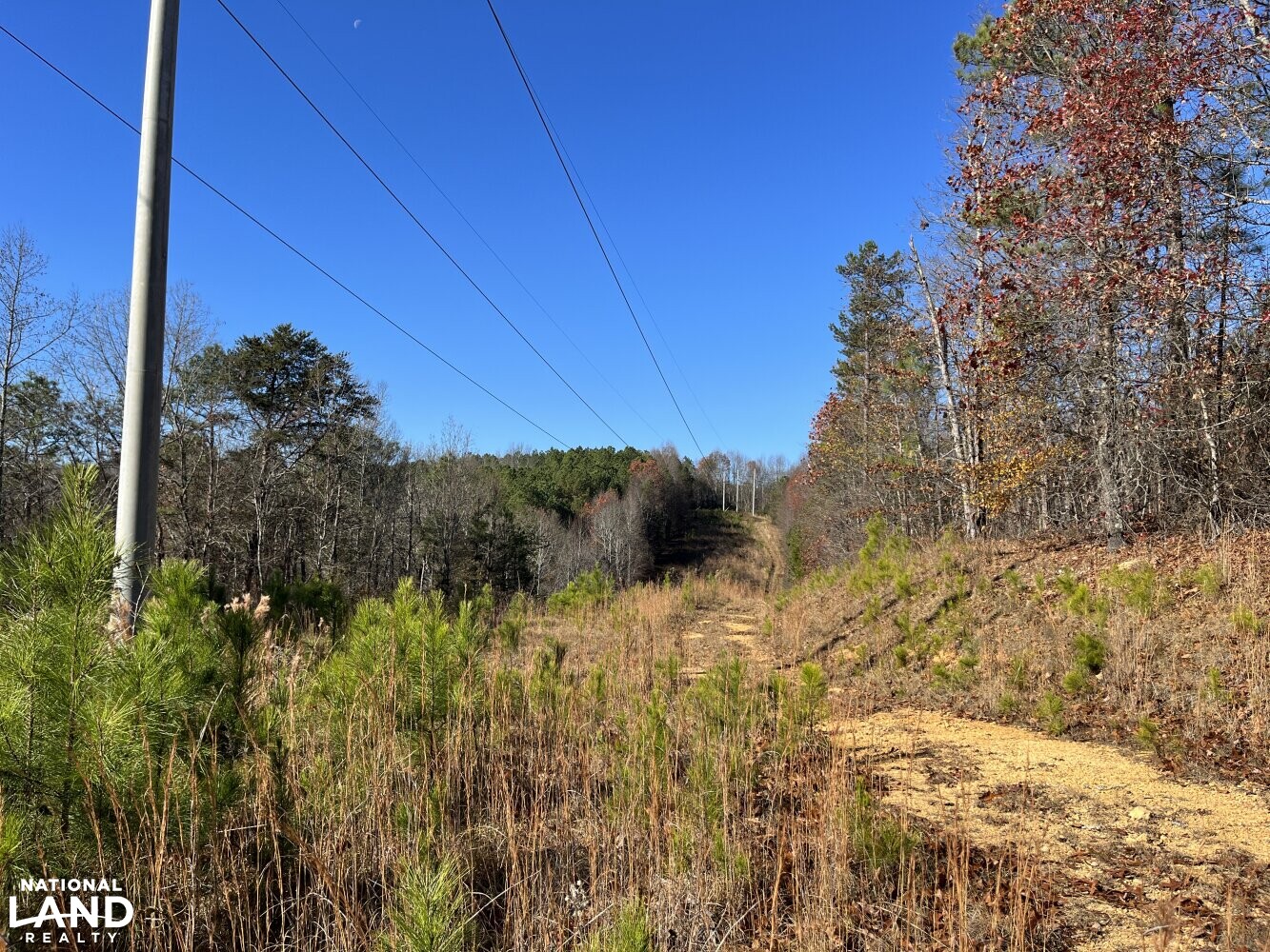 Leeds Homesite Development Property in Saint Clair County, Alabama (17