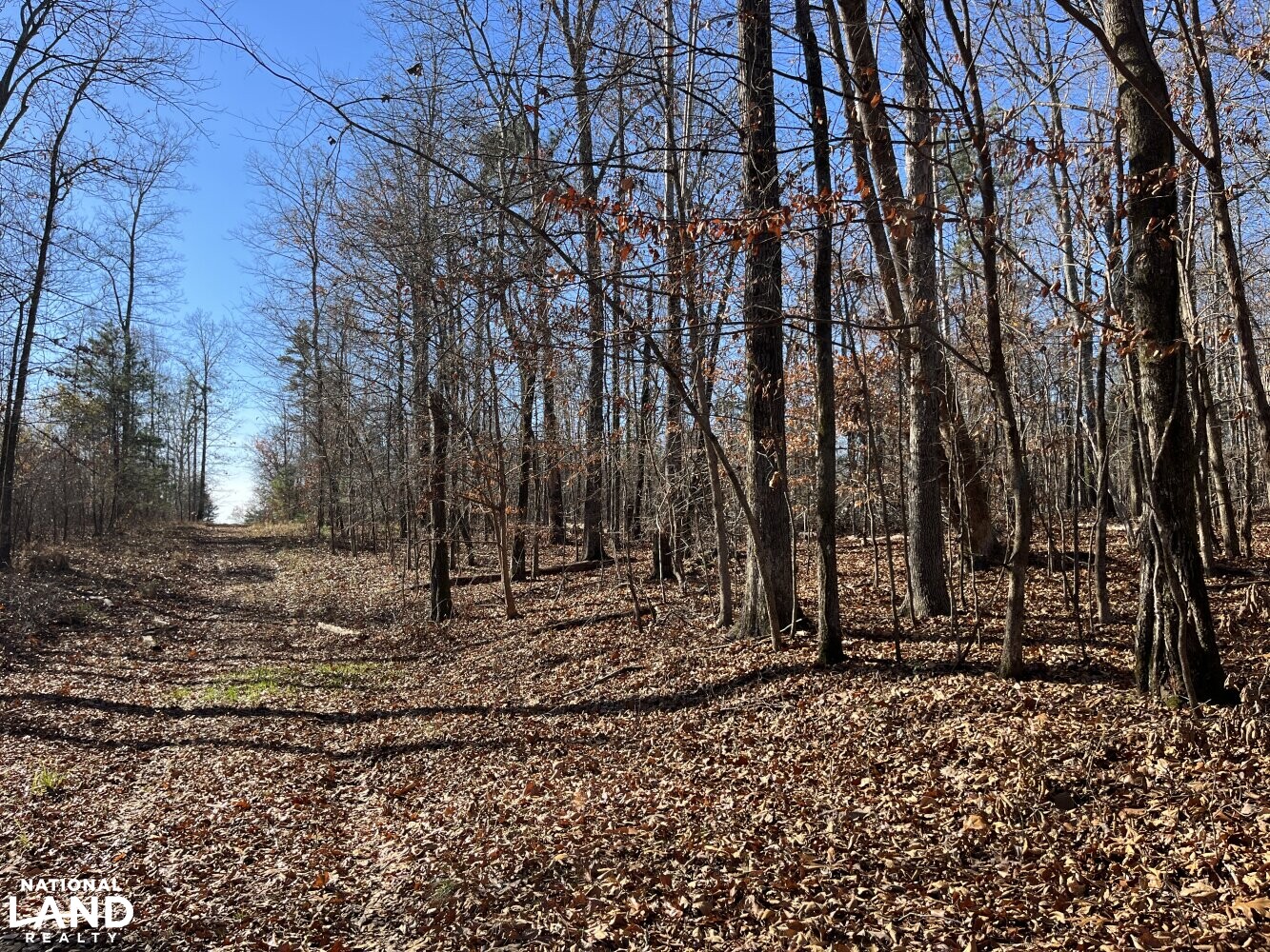 Leeds Homesite Development Property in Saint Clair County, Alabama (17