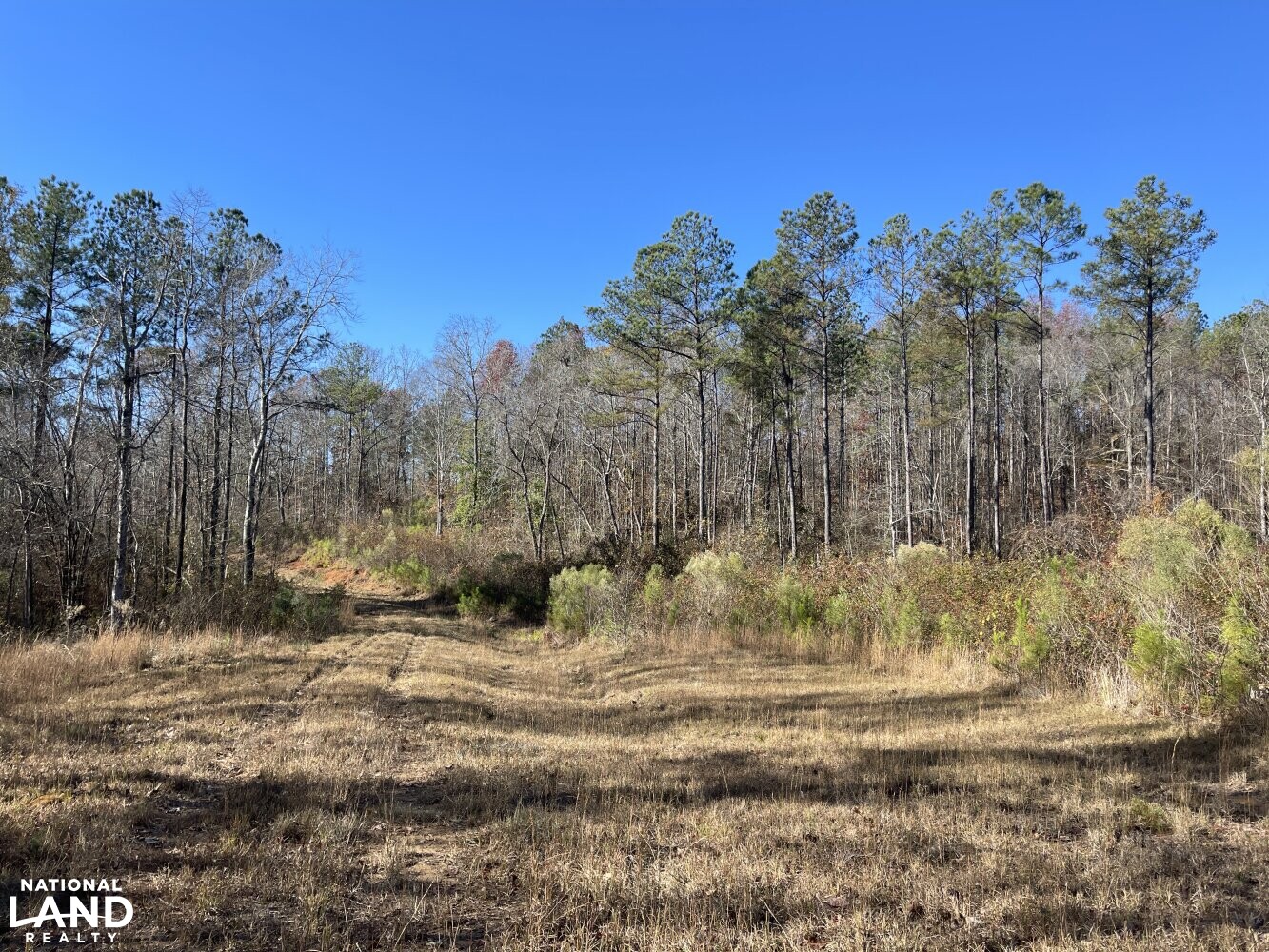 State Line Hunting and Timber Tract in Marion County, Alabama (35