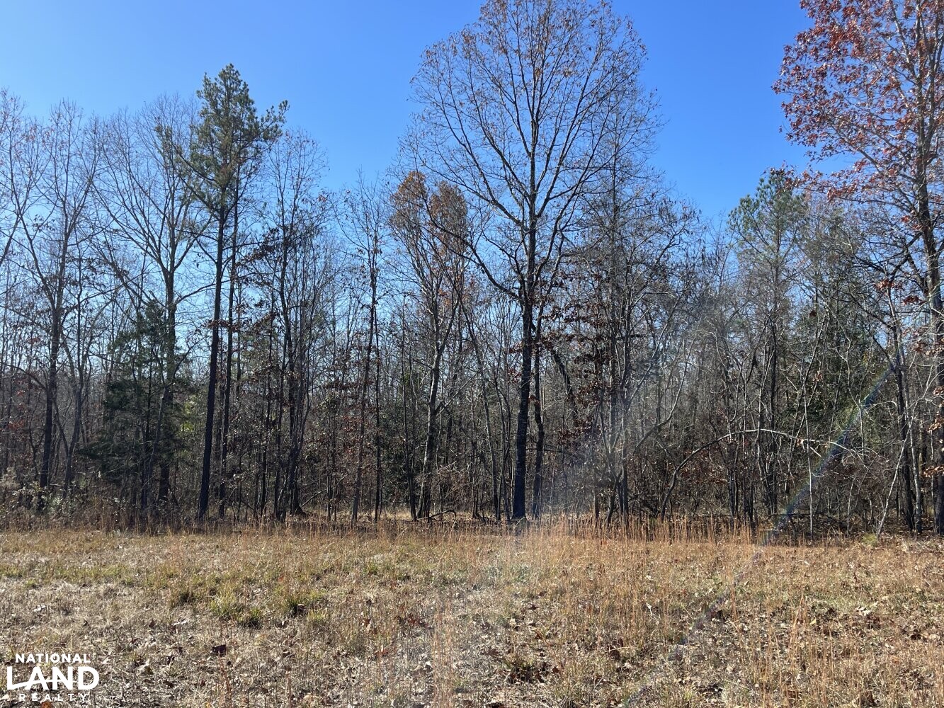 State Line Hunting and Timber Tract in Marion County, Alabama (35