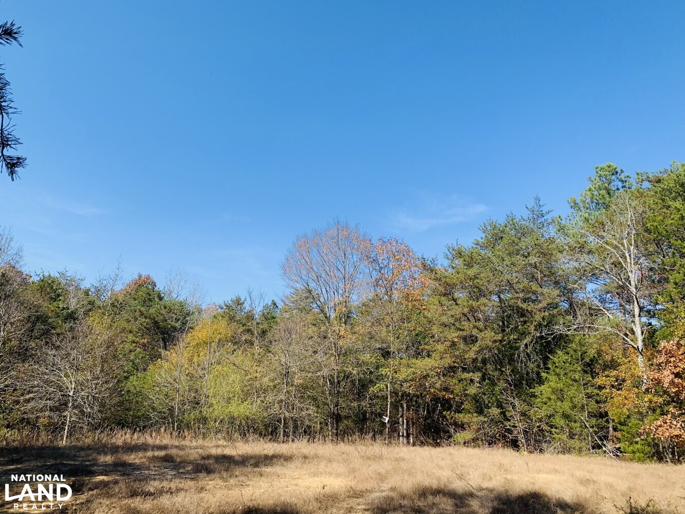 Green Road Hunting and RecreationEastern in Lancaster County, South