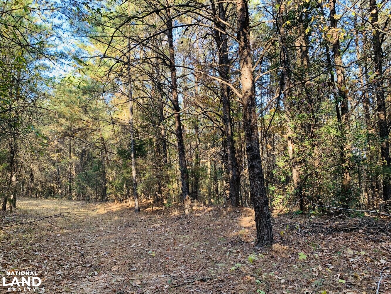 Green Road Hunting and RecreationWestern in Lancaster County, South