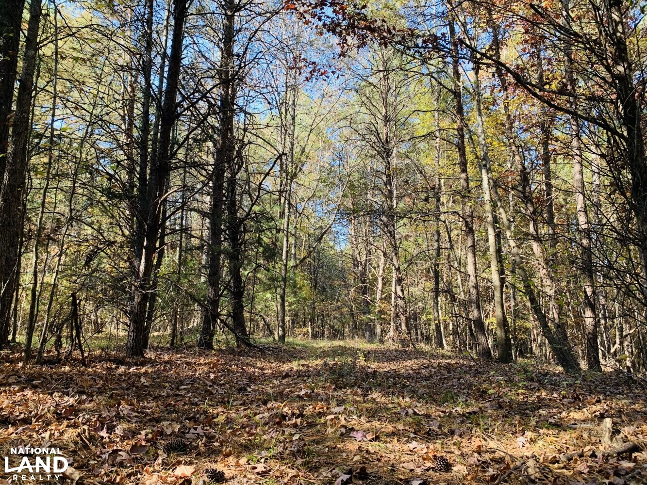 Green Road Hunting and RecreationWestern in Lancaster County, South