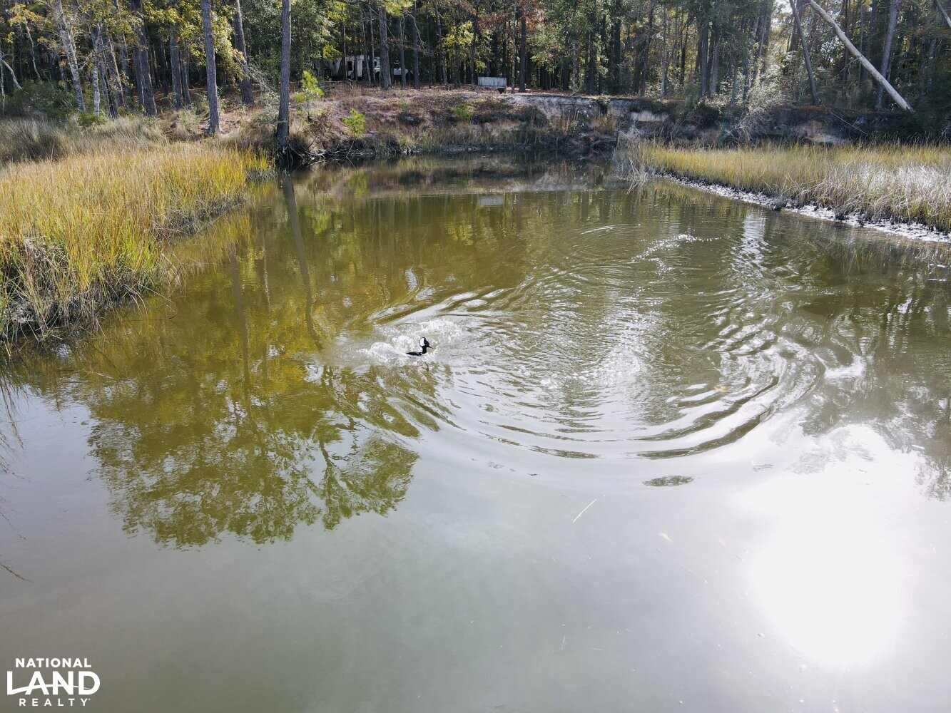 Shallotte River Tract in Brunswick County, North Carolina (22 Photos