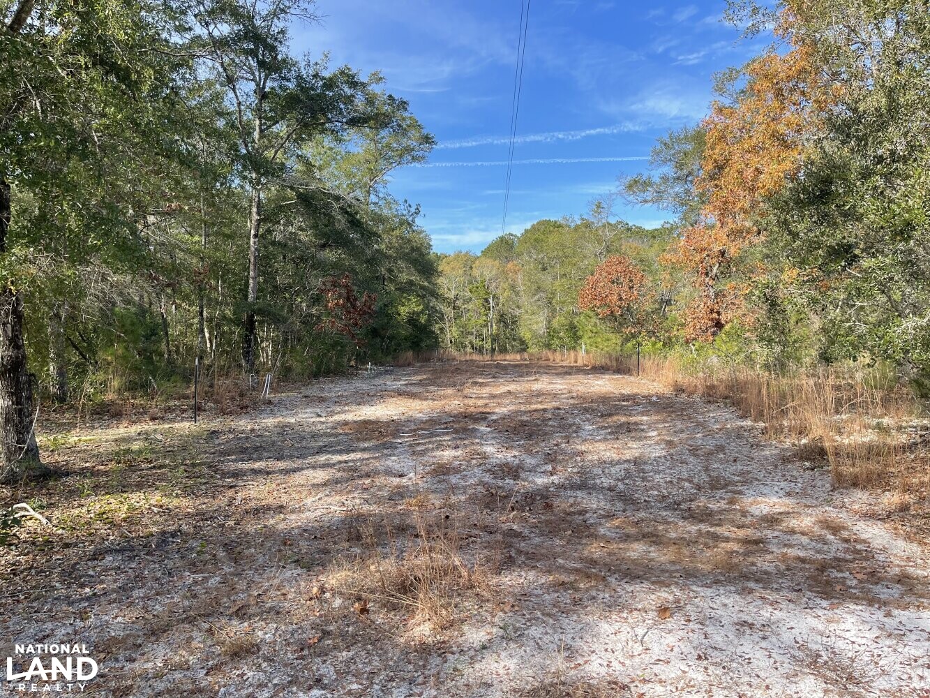 Shallotte River Tract in Brunswick County, North Carolina (22 Photos