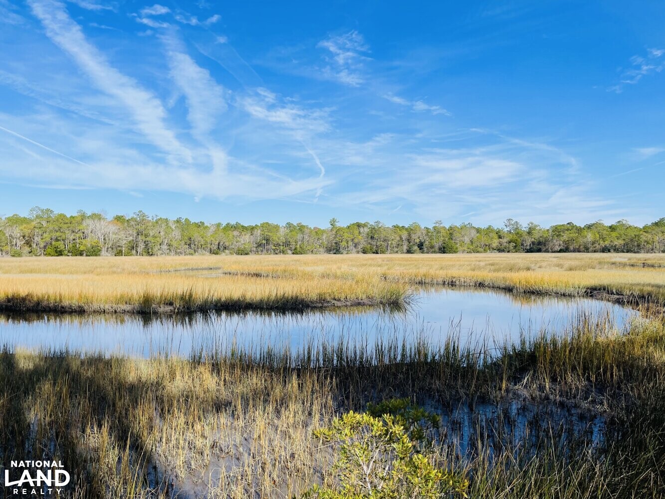 Shallotte River Tract in Brunswick County, North Carolina (22 Photos