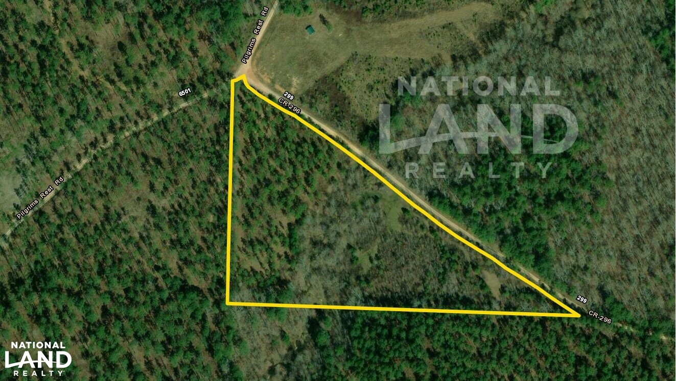 Acreage adjoining National Park in Cleburne County, Alabama (14 Photos