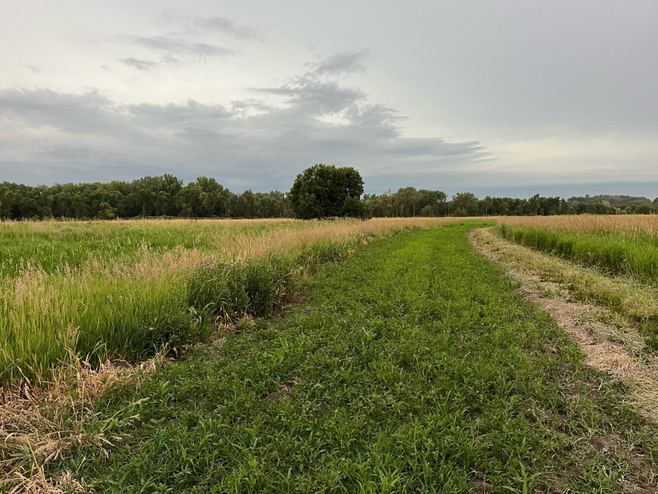 Elkhorn River Recreation in Dodge County, Nebraska (65 Photos