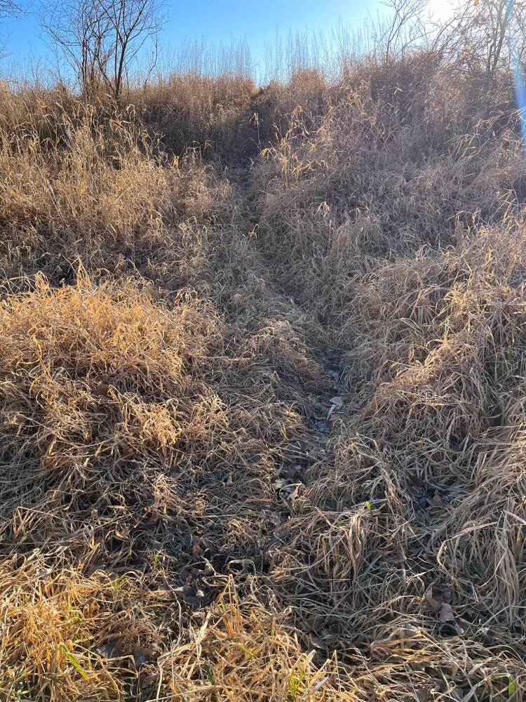 Elkhorn River Recreation in Dodge County, Nebraska (65 Photos