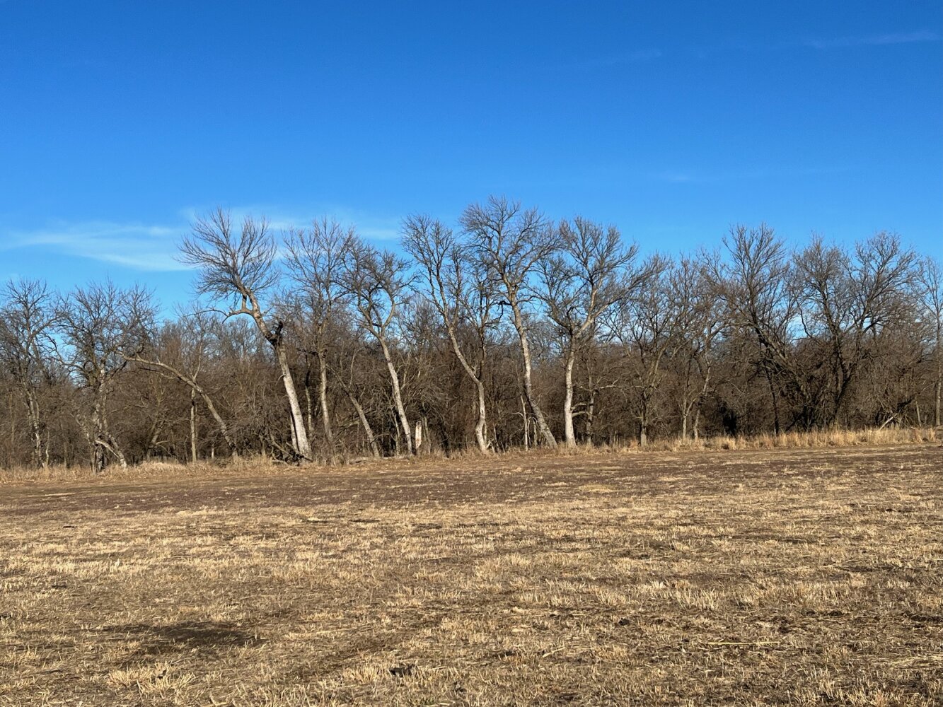 Elkhorn River Recreation in Dodge County, Nebraska (65 Photos