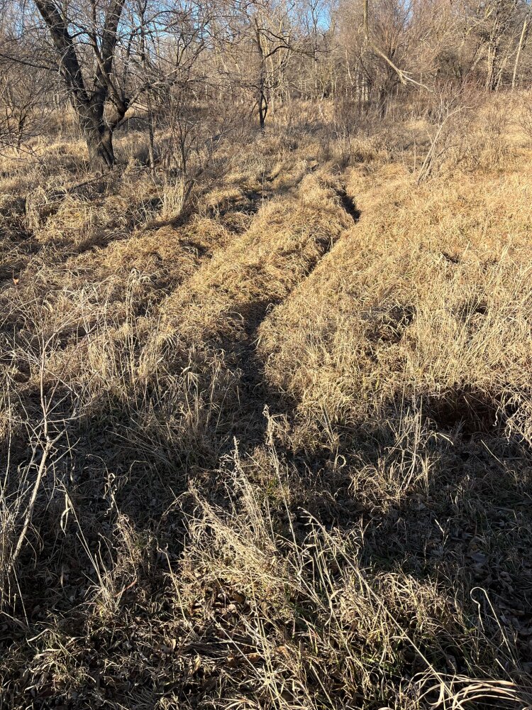 Elkhorn River Recreation in Dodge County, Nebraska (65 Photos