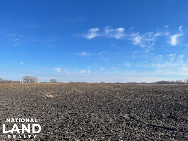 100 Acres Prime Farmland (1 of 10)