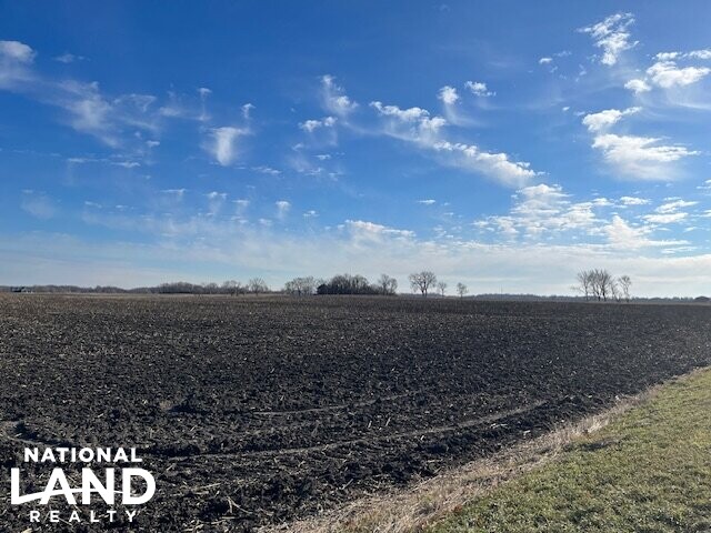 100 Acres Prime Farmland (3 of 10)