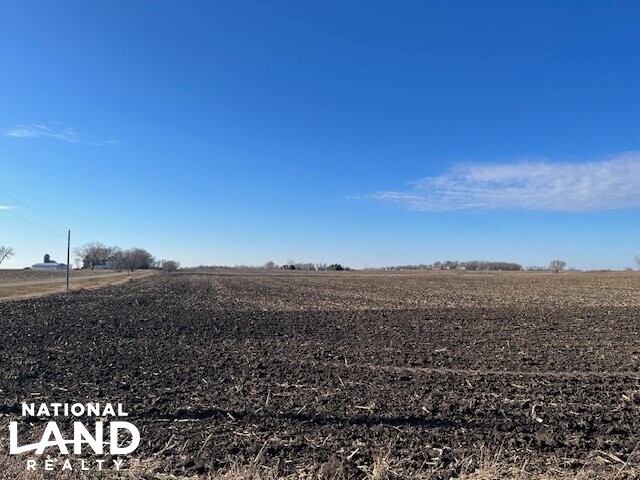 100 Acres Prime Farmland (5 of 10)