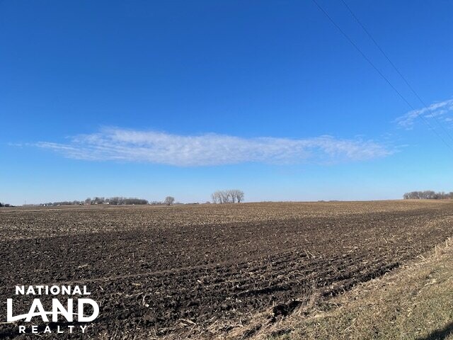 100 Acres Prime Farmland (6 of 10)