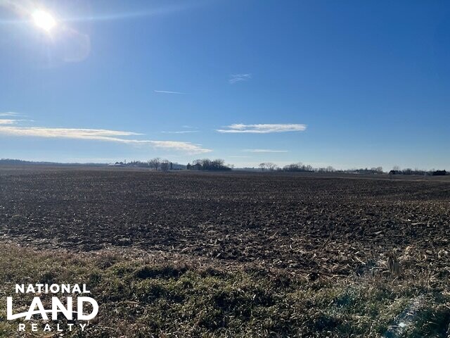 100 Acres Prime Farmland (7 of 10)