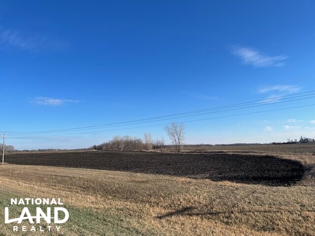 100 Acres Prime Farmland (10 of 10)