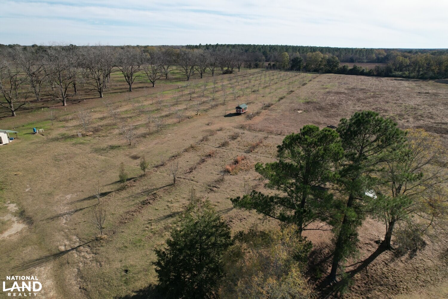 Southwest Security and Recreational Property in Terrell County, (25 Photos