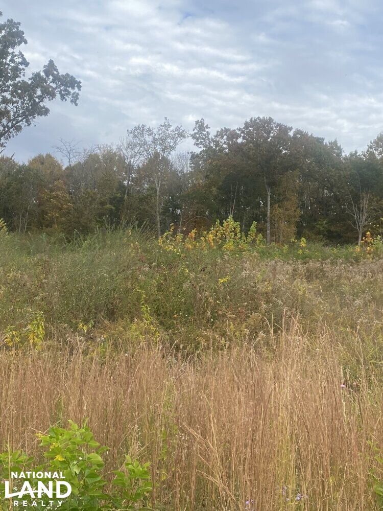 Columbia Highway 50 Development Land with 3,400 SF Building in Maury