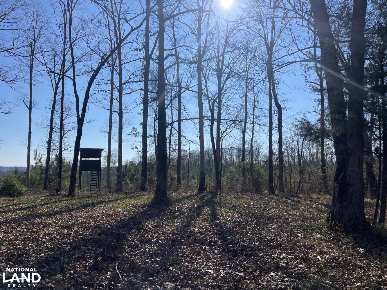 Benevola Hunting & Timber Investment Tract in Pickens County, Alabama
