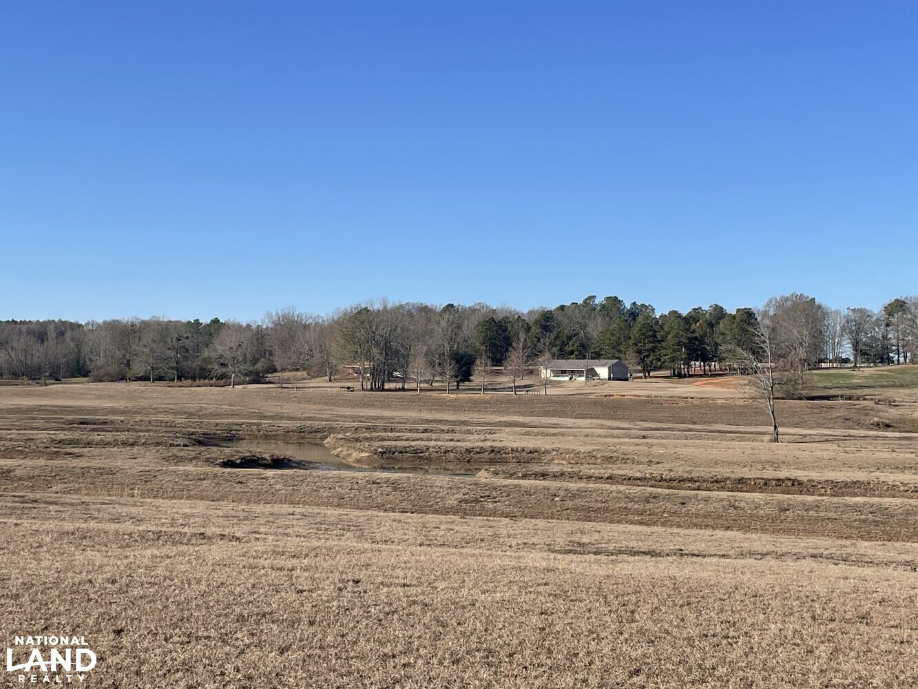 Decatur Pasture & Retriever Training Grounds in Newton County