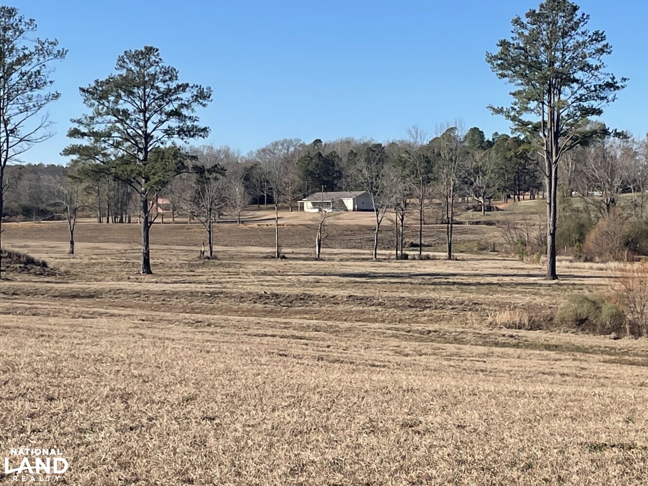 Decatur Pasture & Retriever Training Grounds in Newton County