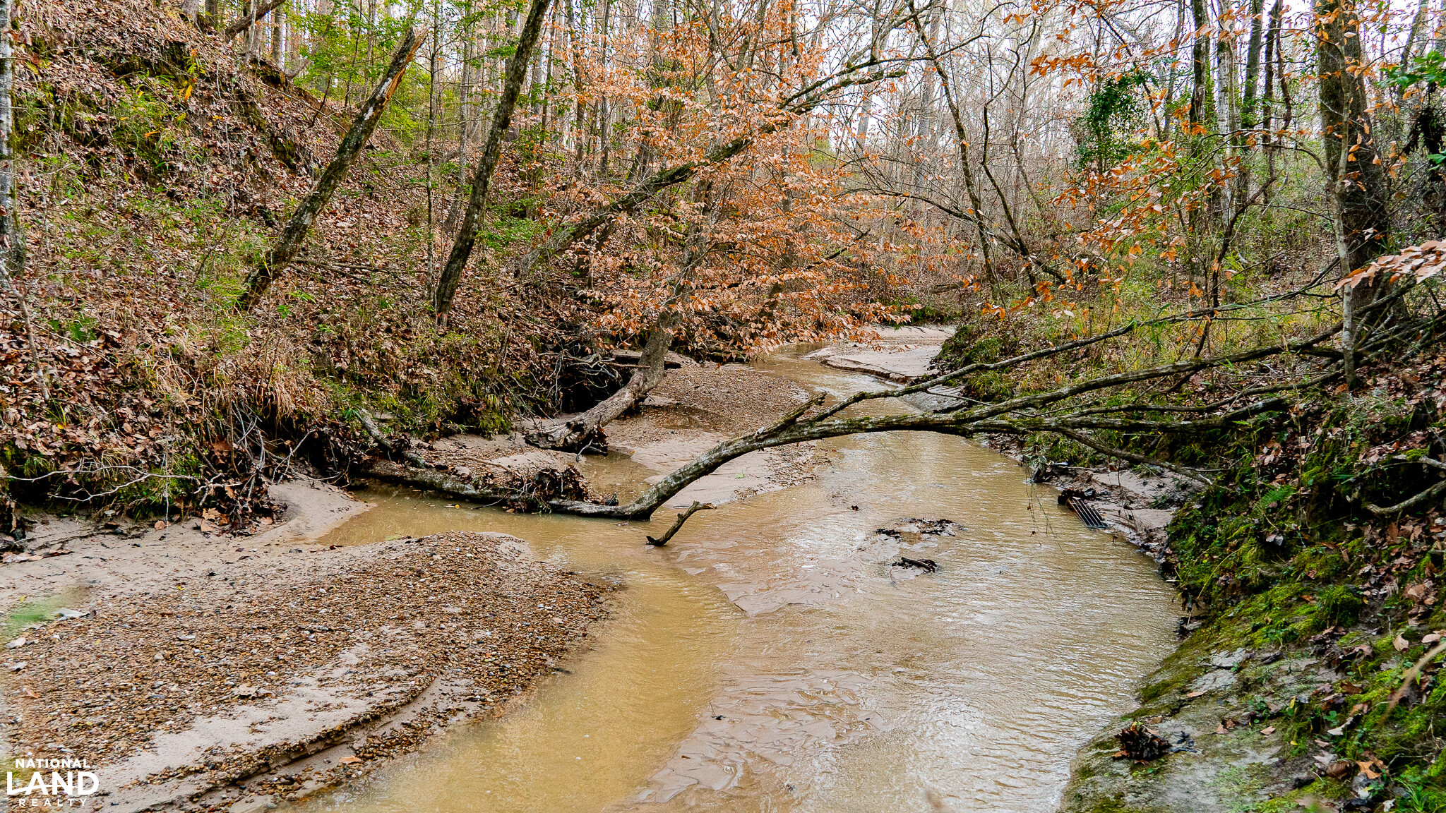 St. Francisville Trophy Tract with Camp in West Feliciana Parish